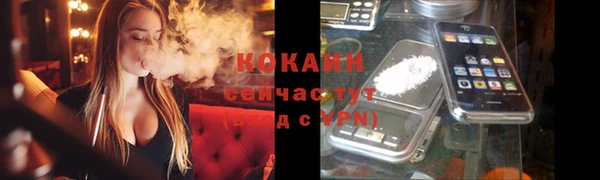 дживик Зеленокумск