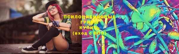 дживик Зеленокумск